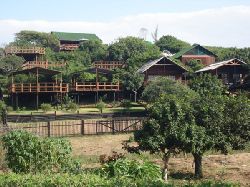 Mozambique Self Catering - Coconut View