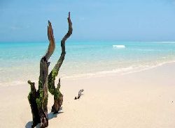 Mozambique Resorts - Anantara Medjumbe Island Resort and Spa