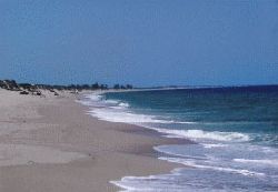 Macaneta Beach Accommodation - Tan N Biki