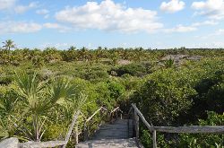 Tofo Accommodation - Mango Beach