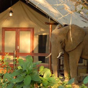 Lugenda Bush Camp, Niassa Reserve