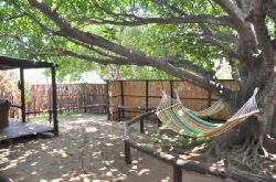 Mozambique Accommodation - Casa de Festa